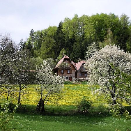 Ferienwohnung Konaci Zaovljanska Jezera Zaovine Exterior foto