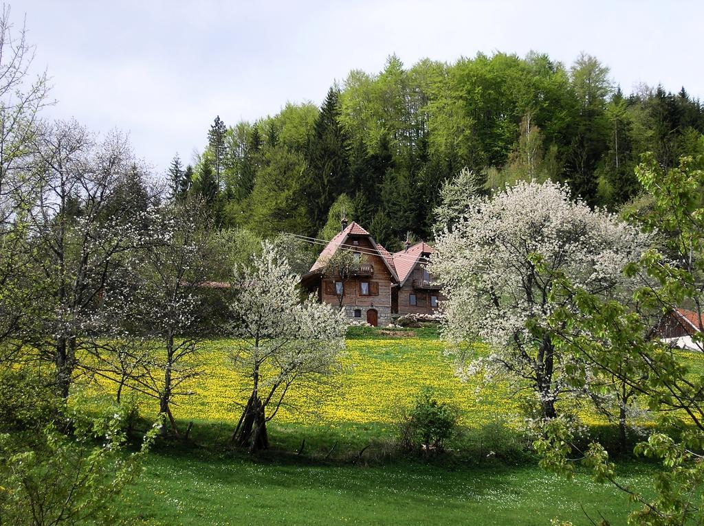 Ferienwohnung Konaci Zaovljanska Jezera Zaovine Exterior foto