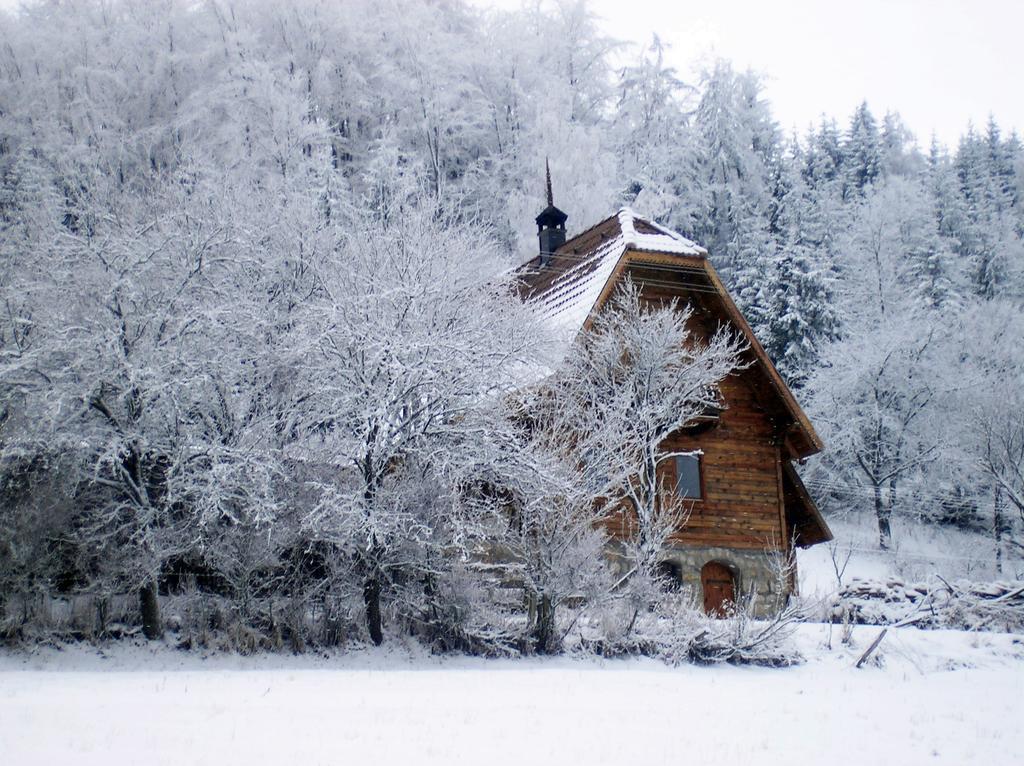 Ferienwohnung Konaci Zaovljanska Jezera Zaovine Exterior foto