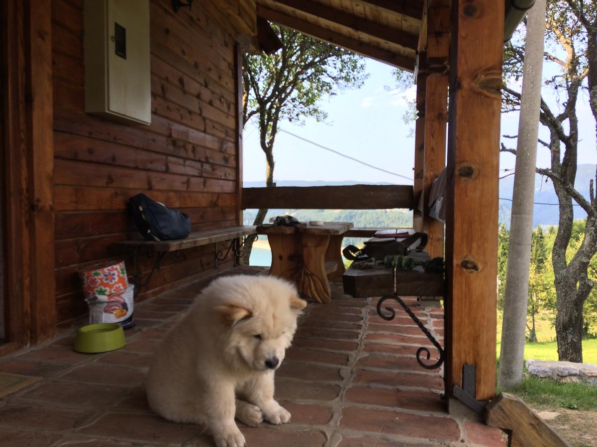 Ferienwohnung Konaci Zaovljanska Jezera Zaovine Exterior foto